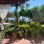Summer Paradise