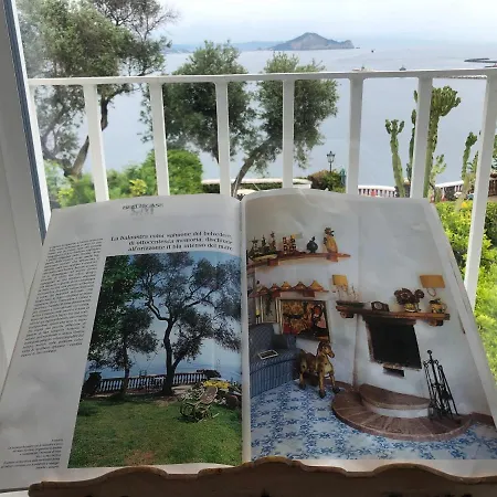 Bed & Breakfast Summer Paradise