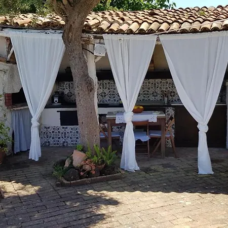 Summer Paradise Couette-café *