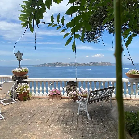 Summer Paradise Couette-café
