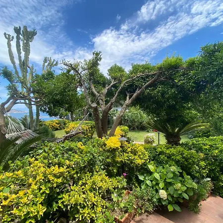 Bed and breakfast Summer Paradise Procida