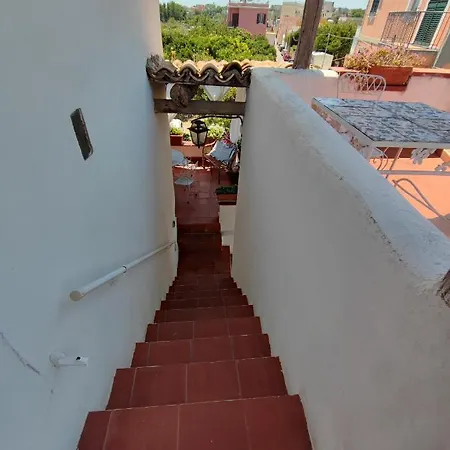 Bed and breakfast Summer Paradise 3*