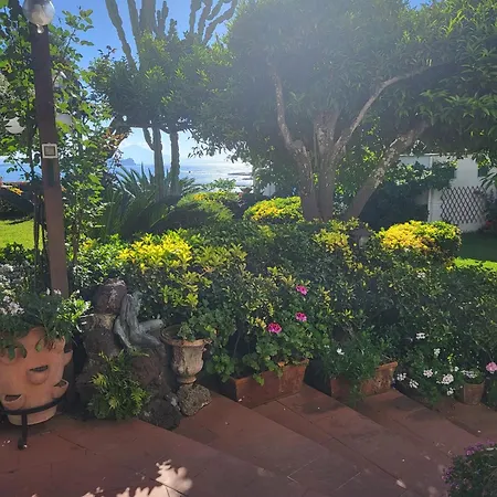 Summer Paradise 住宿加早餐酒店 3*