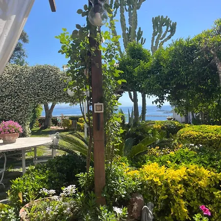 住宿加早餐酒店 Summer Paradise 3*