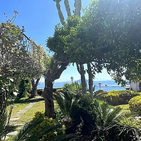 Summer Paradise Bed & Breakfast
