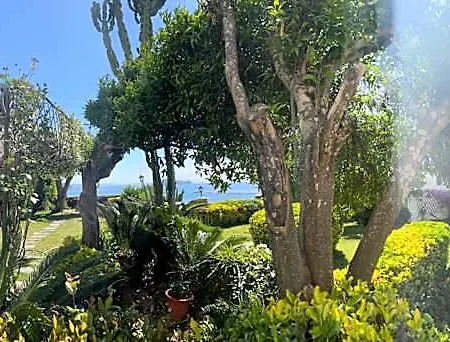 Summer Paradise Bed & Breakfast