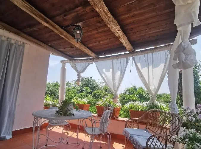 Summer Paradise Alojamento de Acomodação e Pequeno-almoço 3*