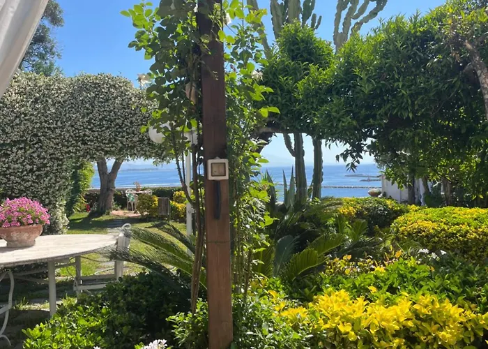 Alojamento de Acomodação e Pequeno-almoço Summer Paradise 3*